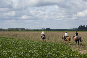 Estancia tour Argentina