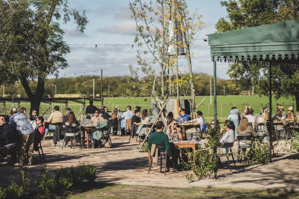 Lunch at the Vineyard