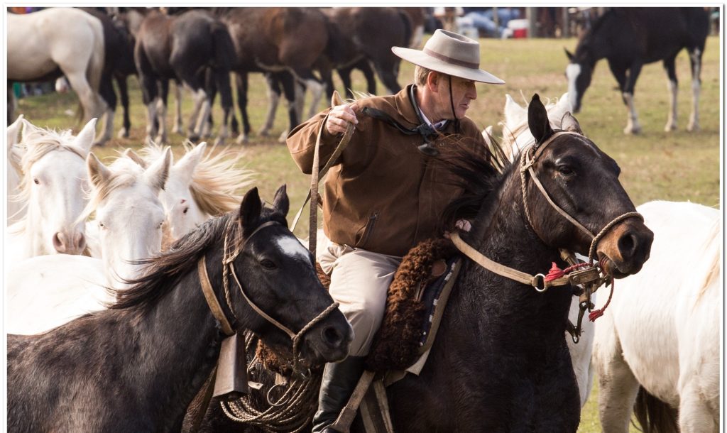 gaucho working with horses at the Estancia