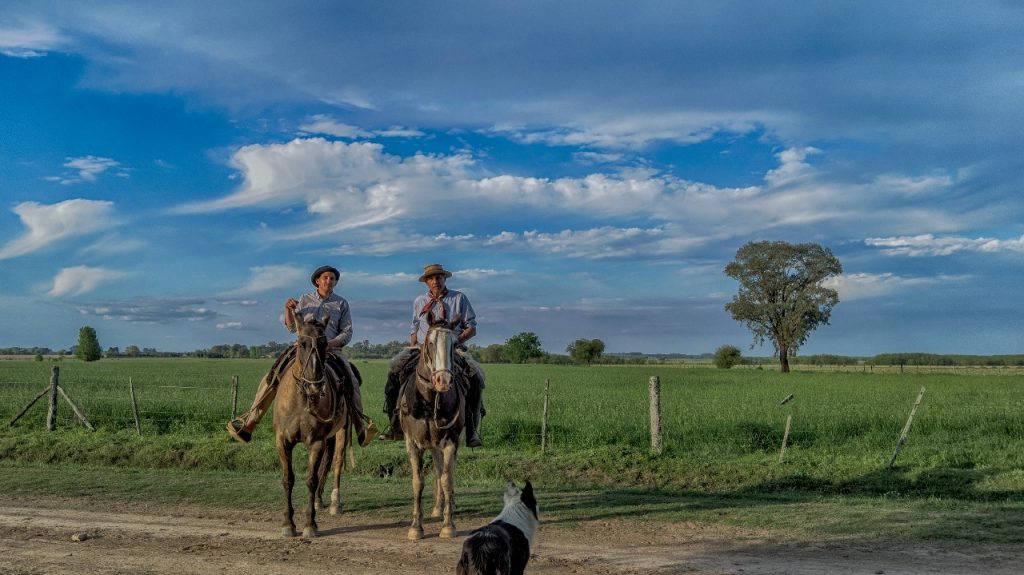 Gauchos in the horizon