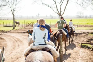 Best Estancia in Buenos Aires for a Day Trip