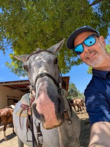 horse selfie