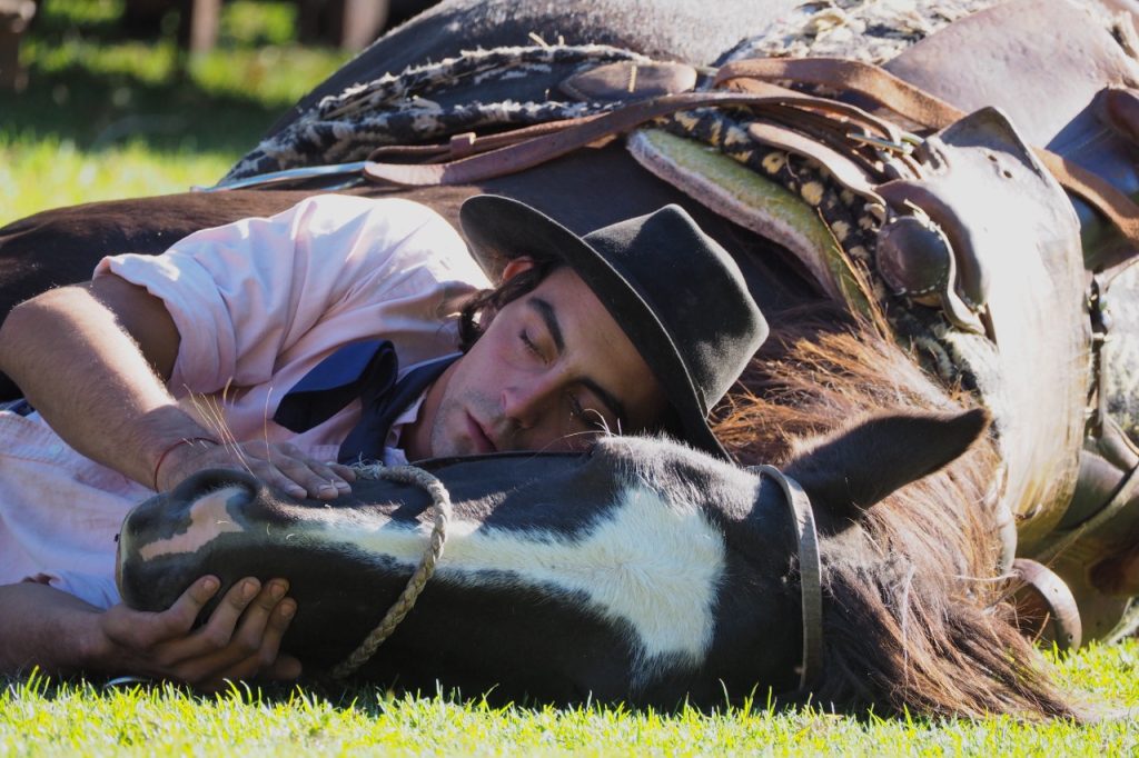 horse whispering at the Estancia