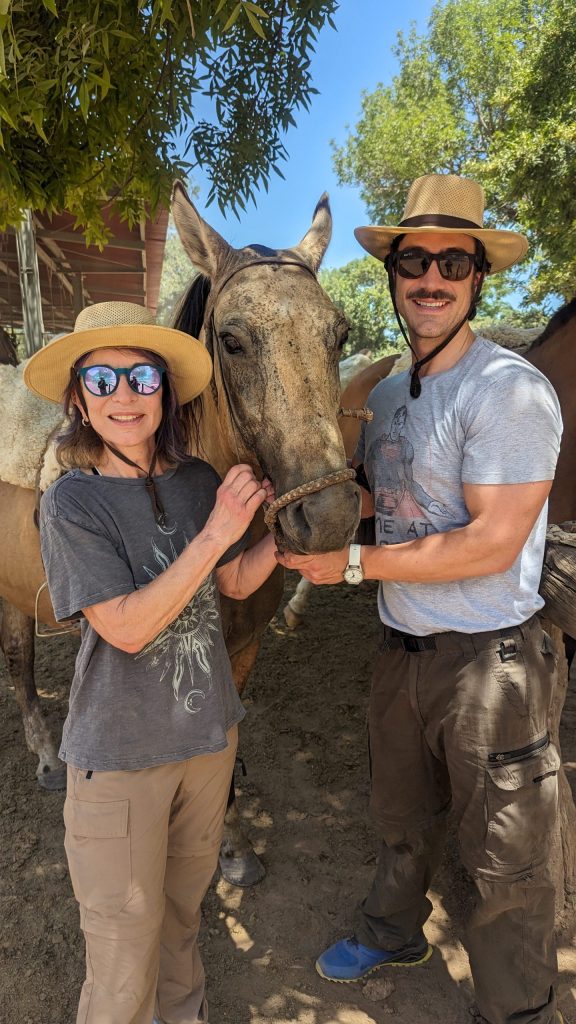meeting gauchos horses